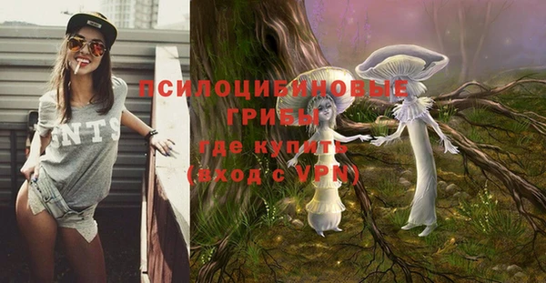 винт Арсеньев