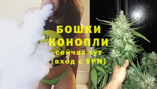 винт Арсеньев