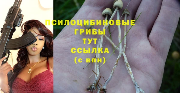 ГАЛЛЮЦИНОГЕННЫЕ ГРИБЫ Аркадак