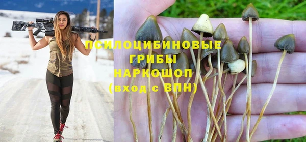 винт Арсеньев