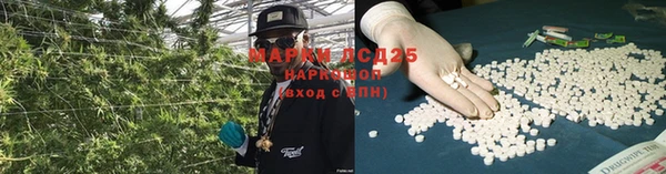 ГАЛЛЮЦИНОГЕННЫЕ ГРИБЫ Аркадак